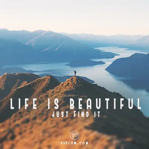 Just-find-it-Life's-beauty-is-all-around-it-Life-Quote 
