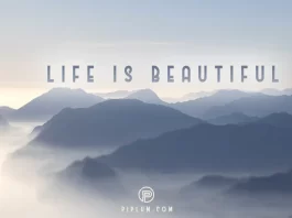 Life-is-beautiful-quote-mountains-landscape