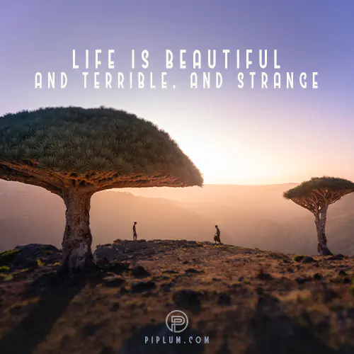 Life-is-beautiful-quote-and-terrible-and-strange-inspiration-african-landscape
