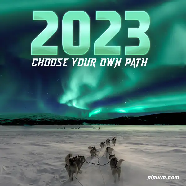 Choose-your-own-path-Stunning-2023quote-winter-aurora