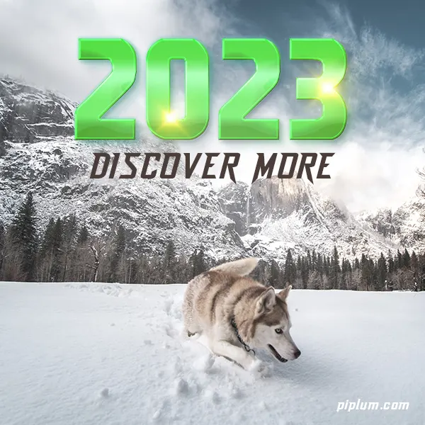 In-2023-try-to-discover-more