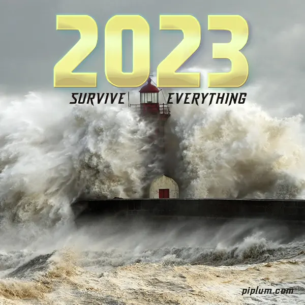 Survive-everything-in-2023-Boost-your-resilience-and-motivation