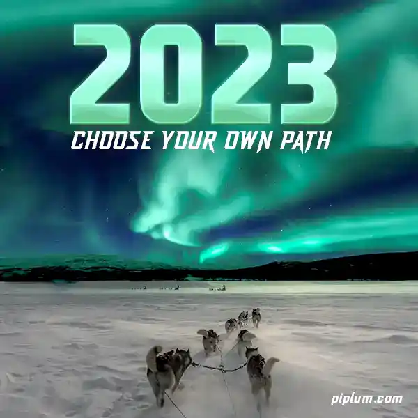 Inspirational-2023-quote-about-choosing-your-own-path