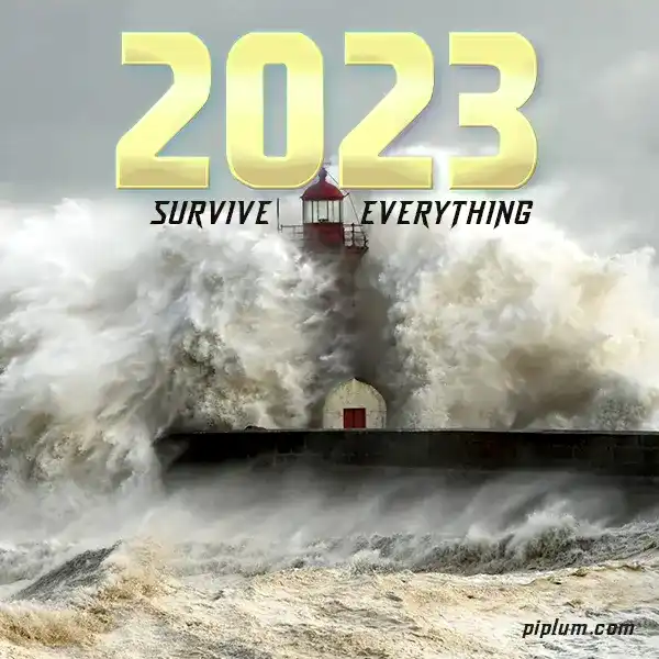 Be-strong-and-survive-everything-in-2023