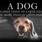 A-dog-is-the-only-thing-on-earth-that-loves-you-more-than-he-loves-himself-inspirational-quote