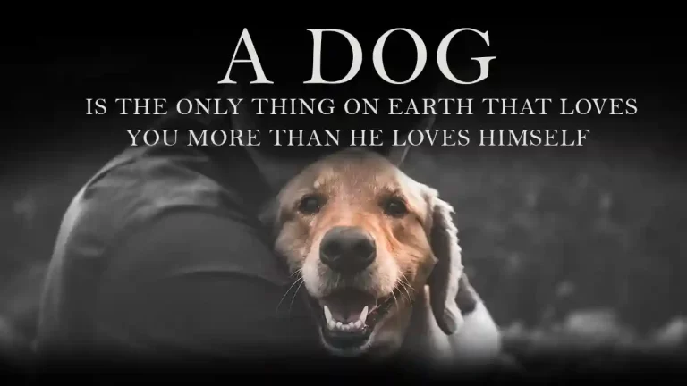 A-dog-is-the-only-thing-on-earth-that-loves-you-more-than-he-loves-himself-inspirational-quote