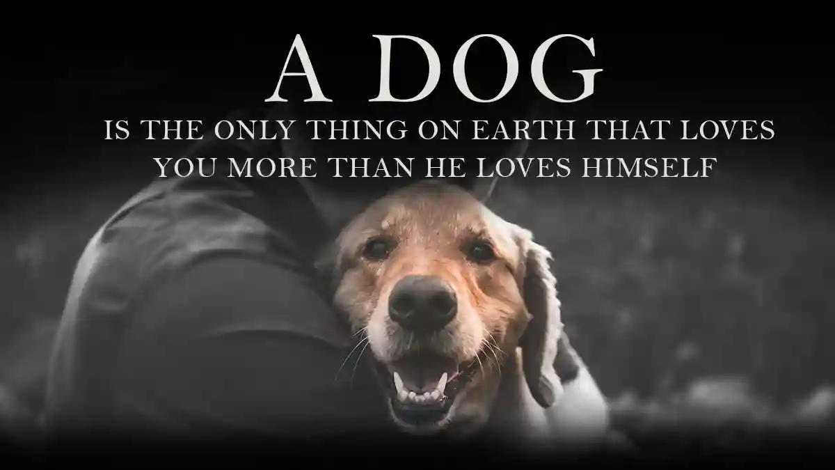 Inspirational Quotes About Dogs