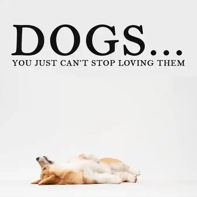Dogs-You-just-cannot-stop-loving-them.-Quote-about-puppies