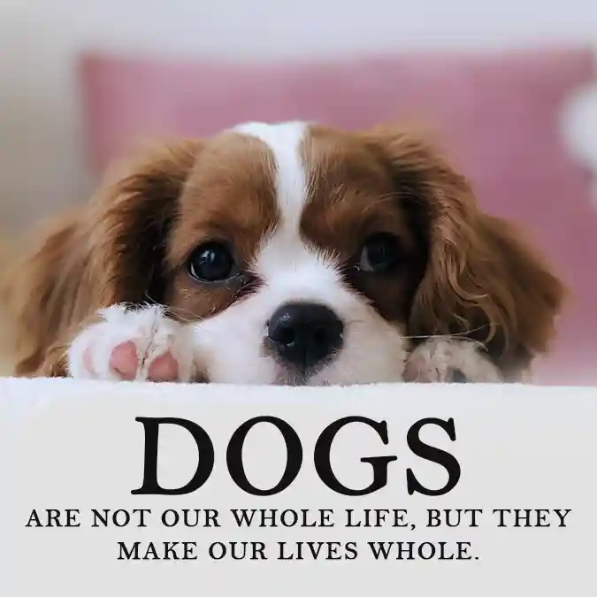 Dogs-are-not-our-whole-life-but-they-make-our-lives-whole.-Inspirational-quote