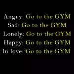 Angry: Go to the gym Sad: Go to the gym Lonely: Go to the gym Happy: Go to the gym In love: Go to the gym. Motivational quote.