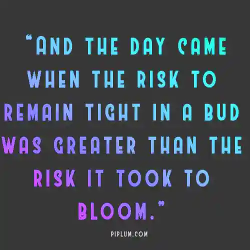 Deep-quote-about-taking-risk