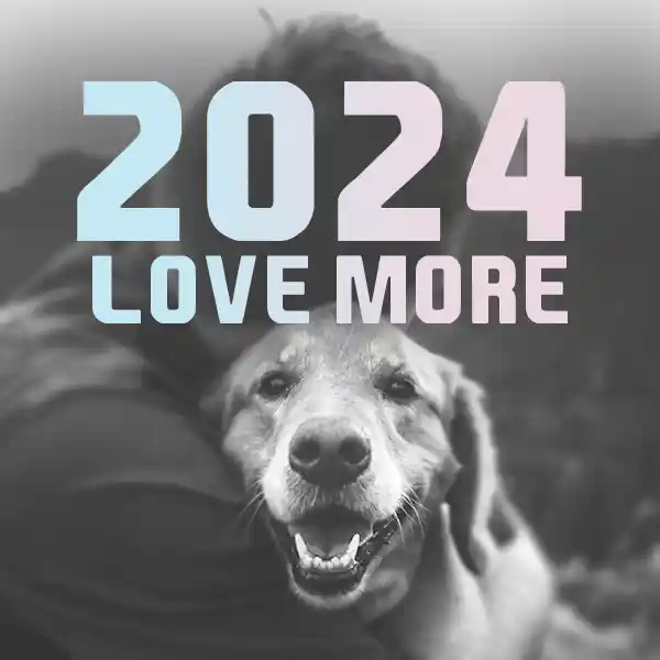 2024-motivation-love-more-quote