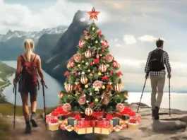 Christmas-Gift-Nordic-Walking-Poles-A-Perfect-Present