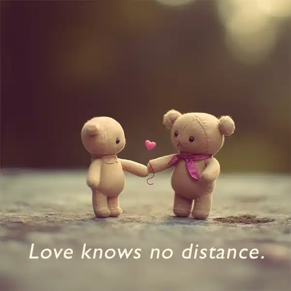 Cute love quote  little bears sharing love