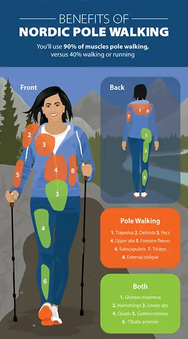 Nordic walking remains a steadfast option for those looking to stay active, healthy, and engaged.