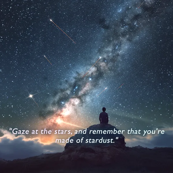 "Gaze at the stars, and remember that you're made of stardust."